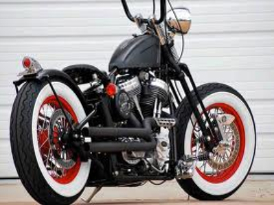 Black Beauty
